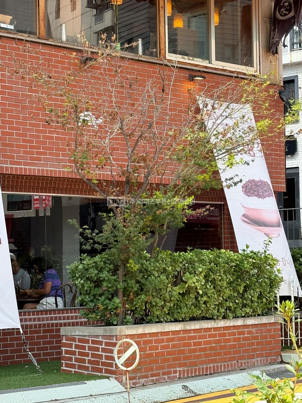 서울 마포구 서교동 RiSE 거리의 시선을 머물게 하는 특별한 파사드. 월세 매물번호 13700 사진 3