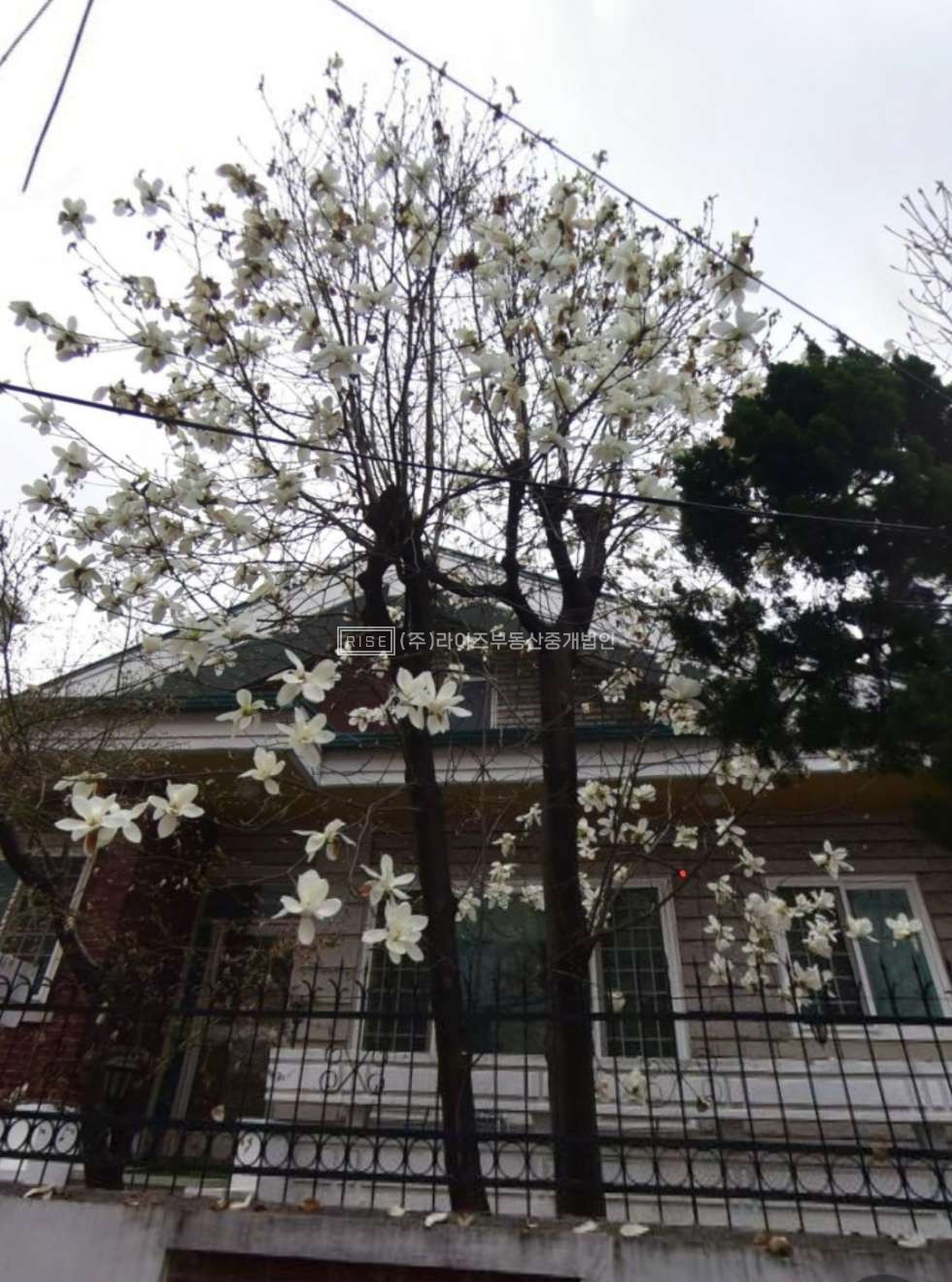 서울 마포구 서교동 코너지 신축추천매물 사옥및 수익용 매매 매물번호 10833 사진 1