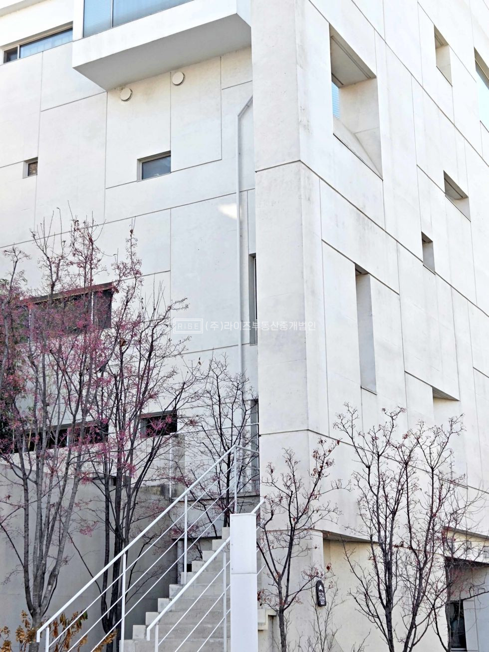 서울 마포구 서교동 RISE 홍대입구 프라이빗한 S급 사무실 자주식주차2대 월세 매물번호 12050 사진 4